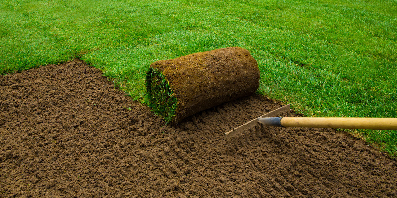 5 Free Tips To Care for Floratam Grass Hudson Ranch