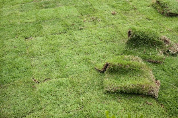 Sod for Erosion Control Hudson Ranch Sod Desoto County Florida