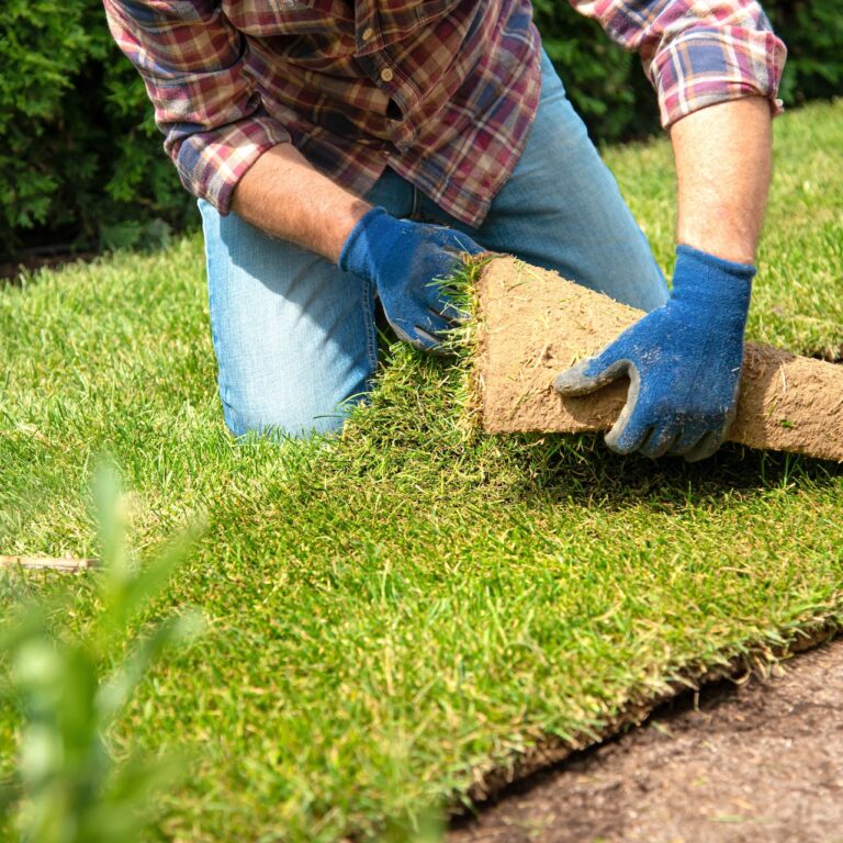 Florida Sod Farm - Hudson Ranch Sod