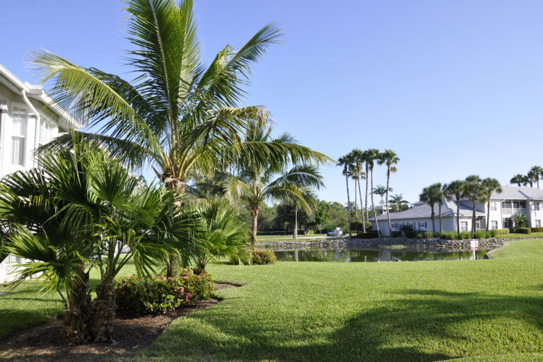 drought-resistant lawn in Cape Coral