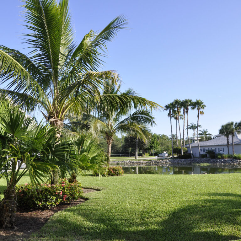 drought-resistant lawn in Cape Coral
